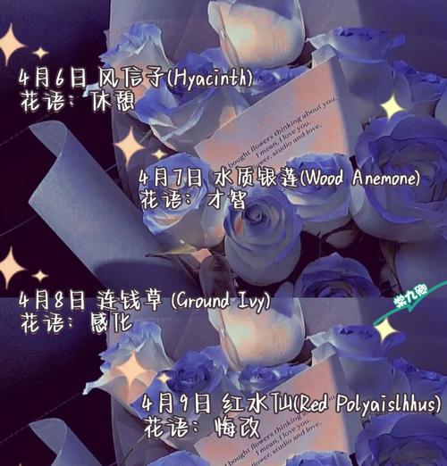 蒙古宝石花象征着什么？宝石花在蒙古文化中的含义是什么？