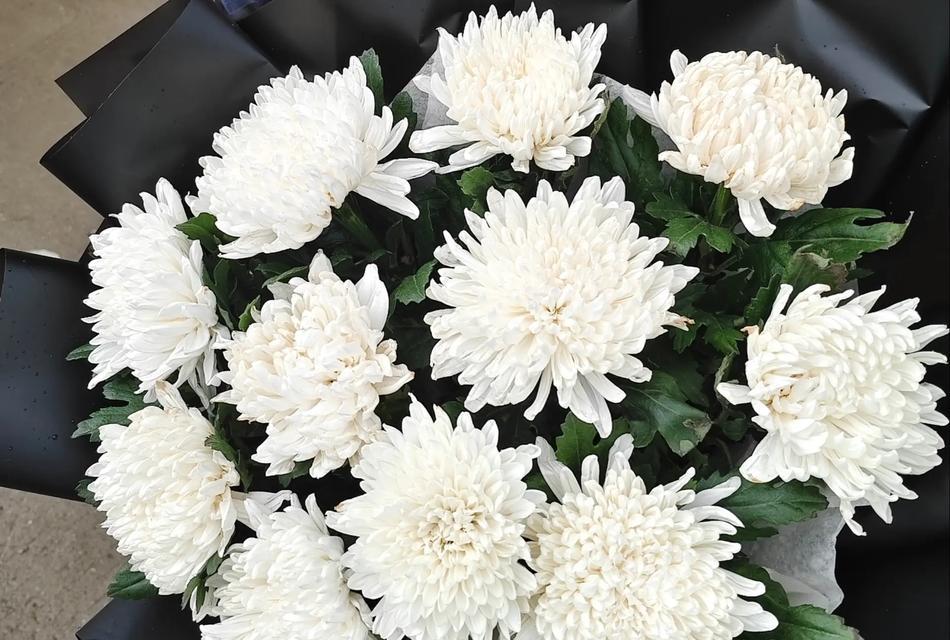 象征故友的花有哪些花名？哪些花卉代表对逝去朋友的怀念？