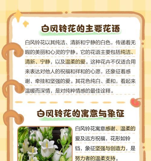 白色风信子花语含义与代表意义是什么？