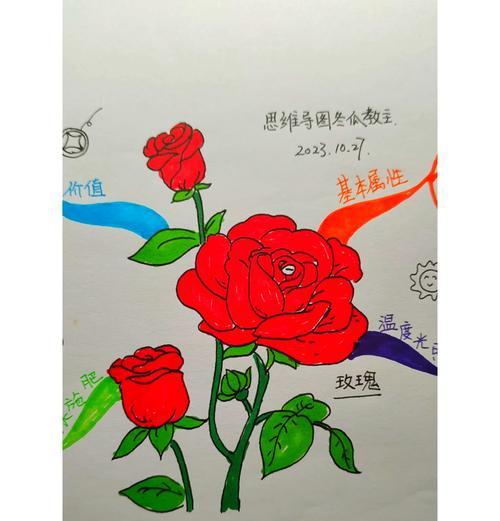 玫瑰花的意义与象征（探索玫瑰花在不同文化中的象征意义）