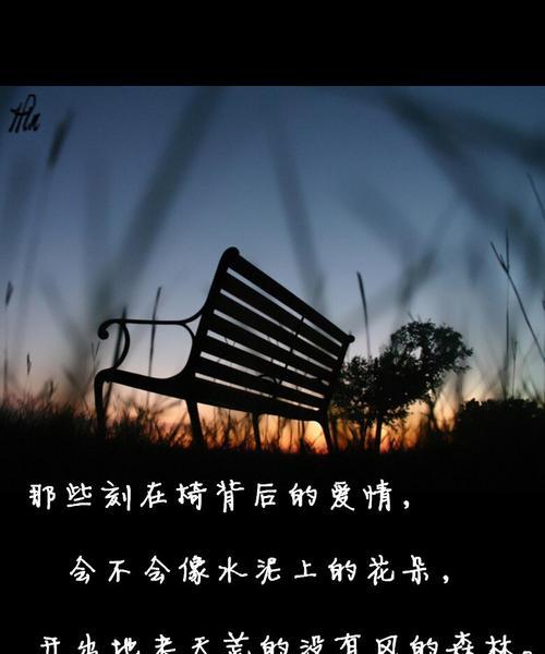 花与椅子结合的爱情含义是什么？它们如何象征爱情？