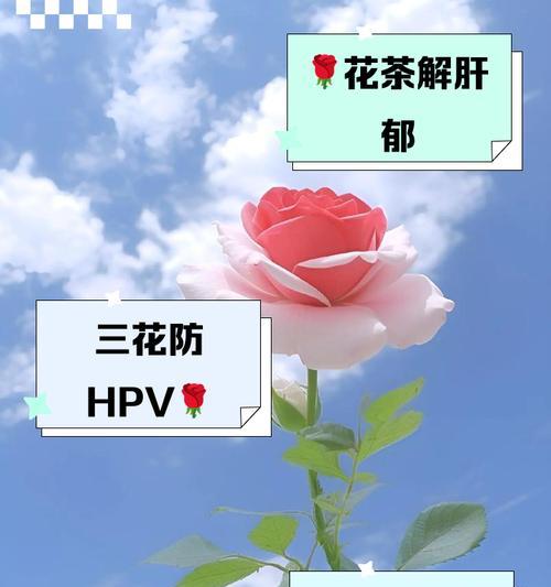 三八节送三朵花的寓意是什么？