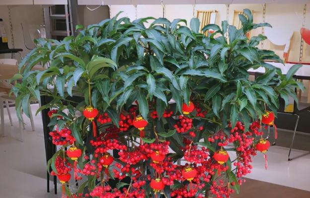 春节摆放哪种花件寓意好？