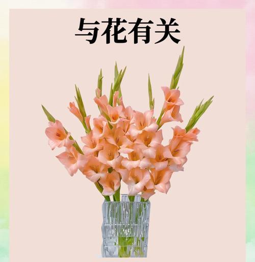 春节摆放哪种花件寓意好？