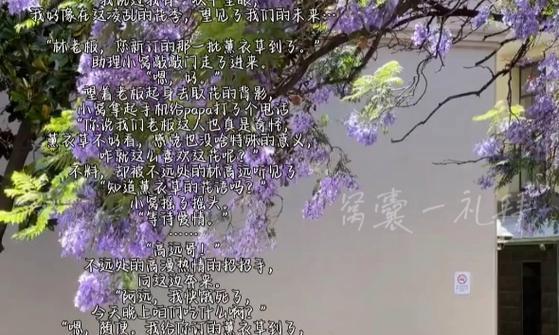 复杂爱情的花语是什么？