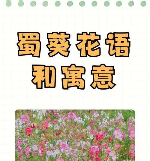 不同颜色花的花语和寓意分别是什么？