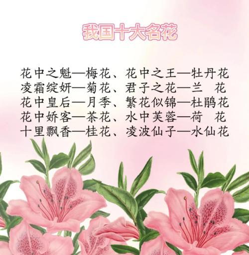 不同颜色花的花语和寓意分别是什么？
