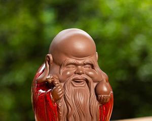 长辈送福星花有何意义？它象征着什么？