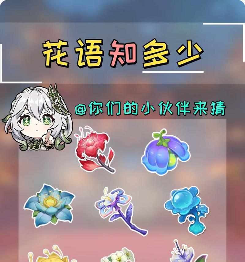 涂色本中的秘密花语有哪些？