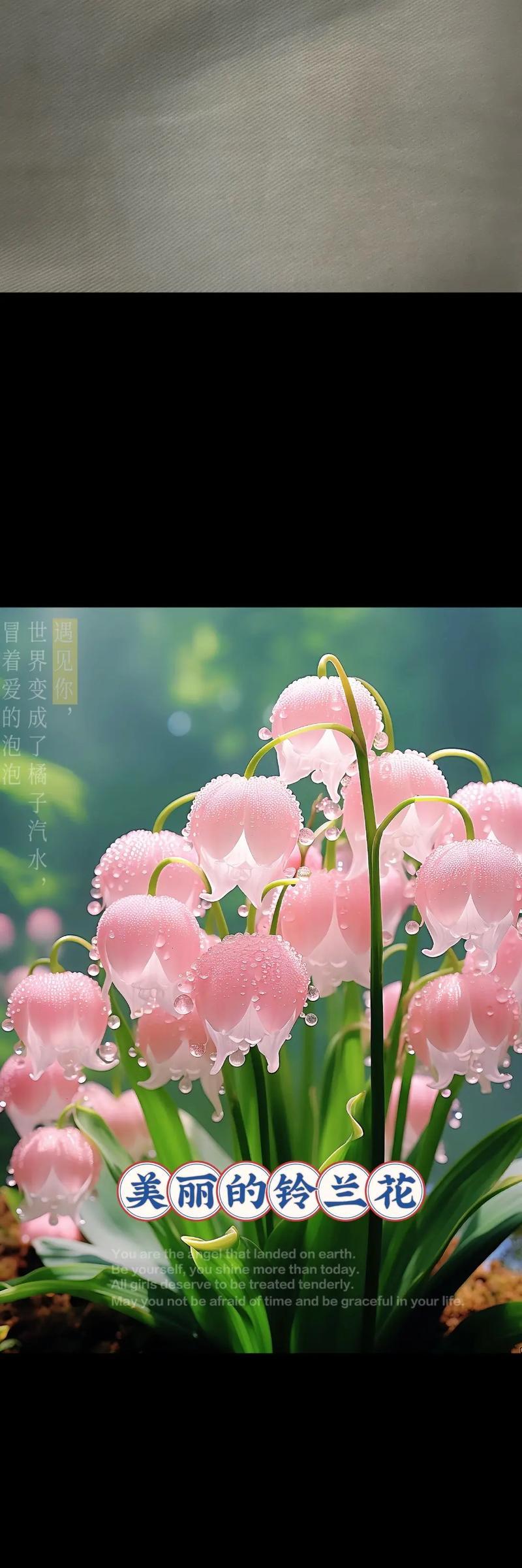 花语寓意好运的花有哪些？好运花卉的花语是什么？