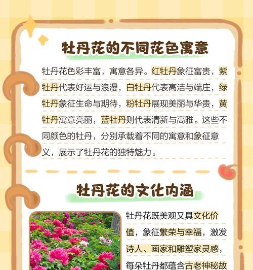 花语寓意好运的花有哪些？好运花卉的花语是什么？