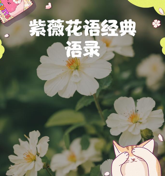 花语寓意好运的花有哪些？好运花卉的花语是什么？