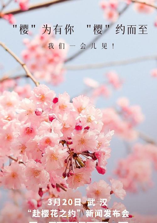 医生节用什么花象征？医生节的花语是什么？