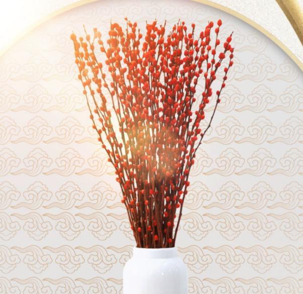 春节送什么花寓意好？春节寓意好的花卉有哪些？