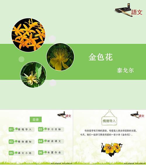印度圣树金色花象征什么？金色花的寓意是什么？