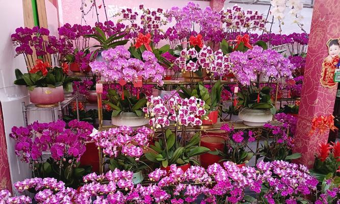 哪种花寓意幸福被爱？幸福爱情的花语有哪些？