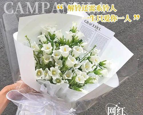送什么花寓意好？哪些花适合送礼？