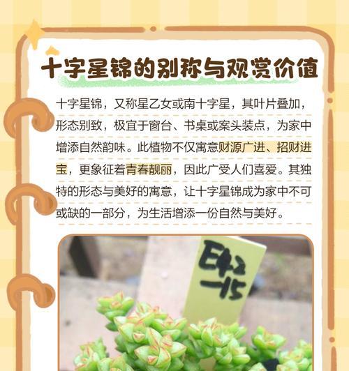 帝锦花在不同季节象征什么？帝锦花的意义有哪些？