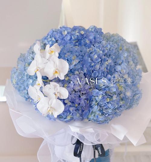 蓝色绣球花束的花语是什么？它象征着什么？