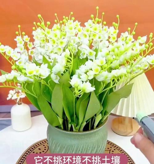 哪种花寓意幸福归来？它的象征意义是什么？