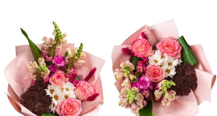 哪些花能带走祝福？带走祝福意义的花卉是什么？