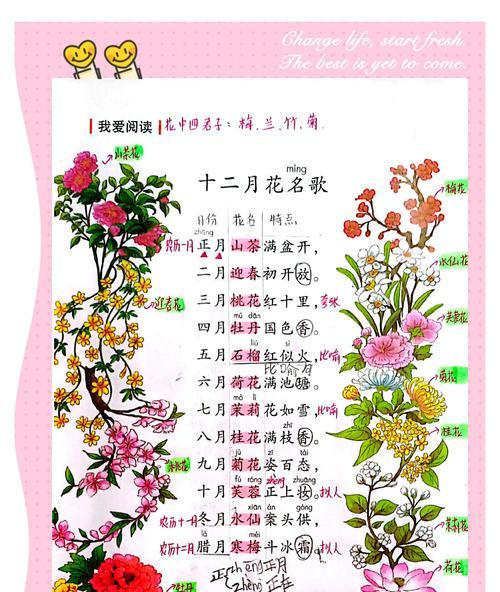 十二朵手捧花代表什么？