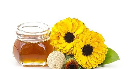 白色金盏花代表什么含义？花语有哪些？
