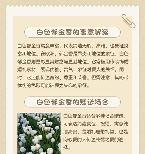 白色金盏花代表什么含义？花语有哪些？