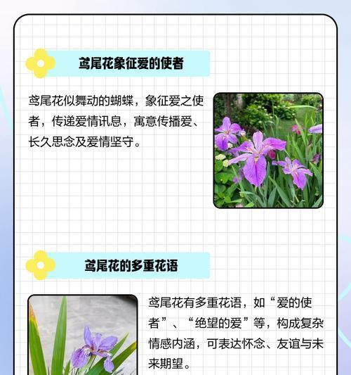 哪种花寓意着爱情故事？爱情故事的花语是什么？