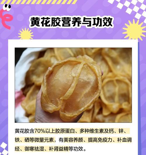 黄色胶花的寓意和象征是什么？黄色花在花语中的含义是什么？
