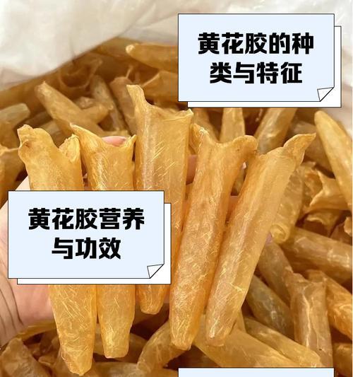 黄色胶花的寓意和象征是什么？黄色花在花语中的含义是什么？
