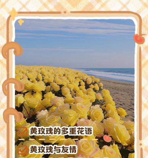 黄色胶花的寓意和象征是什么？黄色花在花语中的含义是什么？