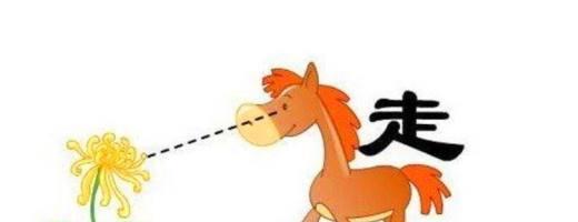 彩色花的故事寓意是什么？它们在文化中扮演什么角色？