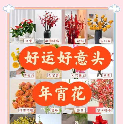 年宵花如何表达富贵的寓意？