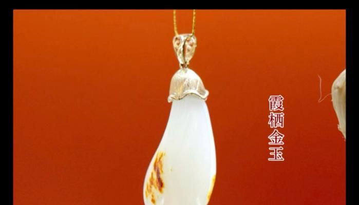 哪种花象征玉堂富贵？它的寓意是什么？