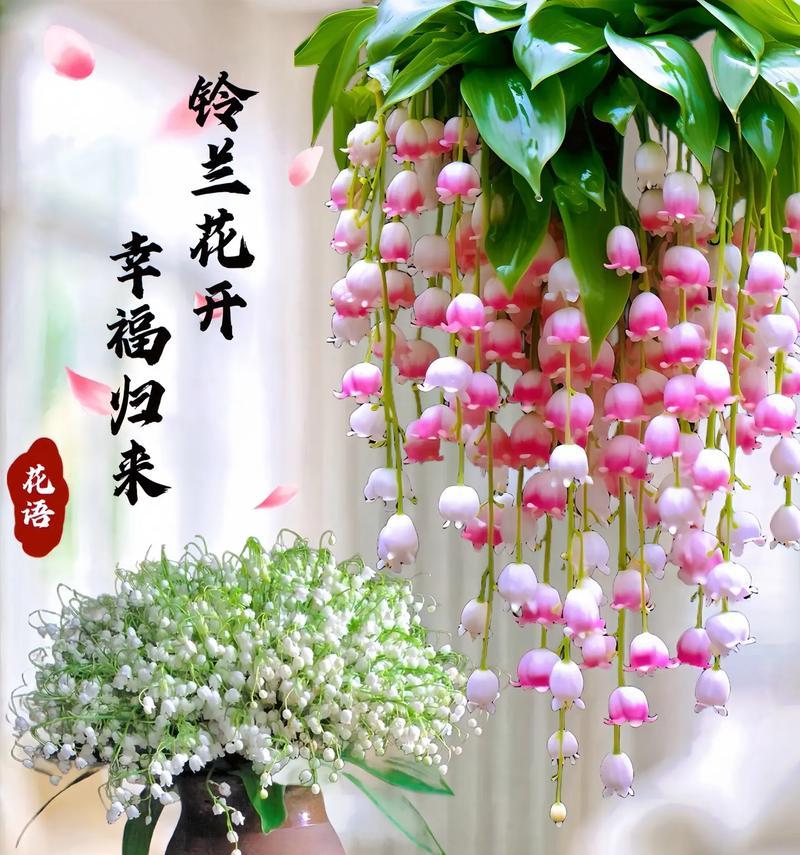 哪些花象征四季？四季花卉的花语分别是什么？