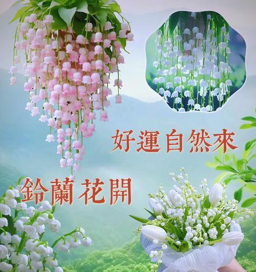 哪种花象征幸福和年轻？幸福年青的花语是什么？