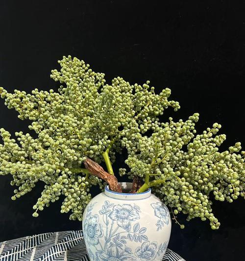 棕榈树叶手捧花象征着什么？