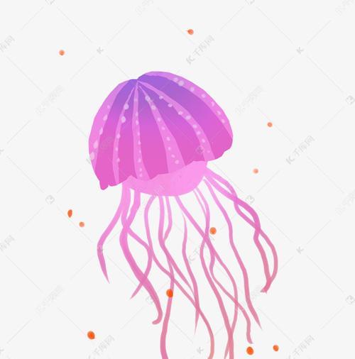 一朵粉色的水母花的寓意是什么？