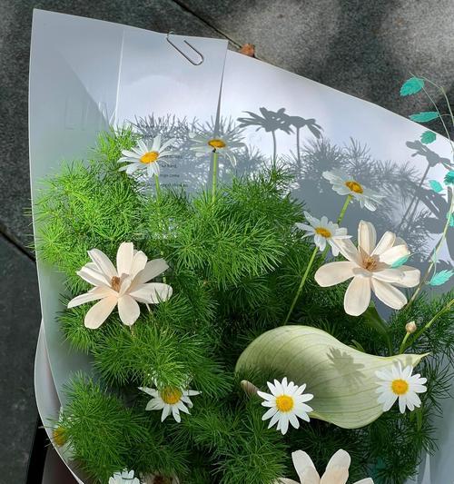 什么花寓意事业成功？