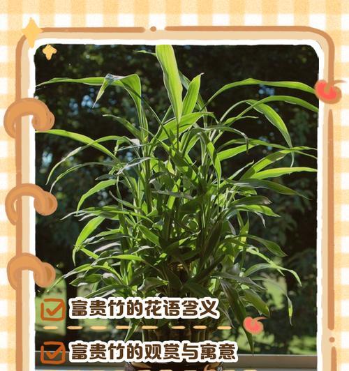 花束花语平安健康是什么意思？花束中平安健康的象征有哪些？