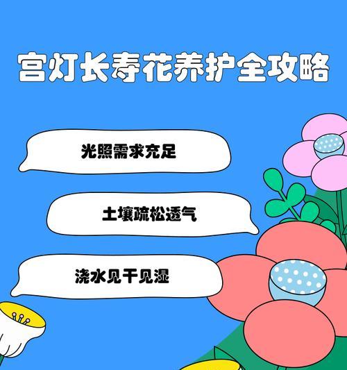 宫灯长寿花代表什么？它的花语有哪些深层含义？