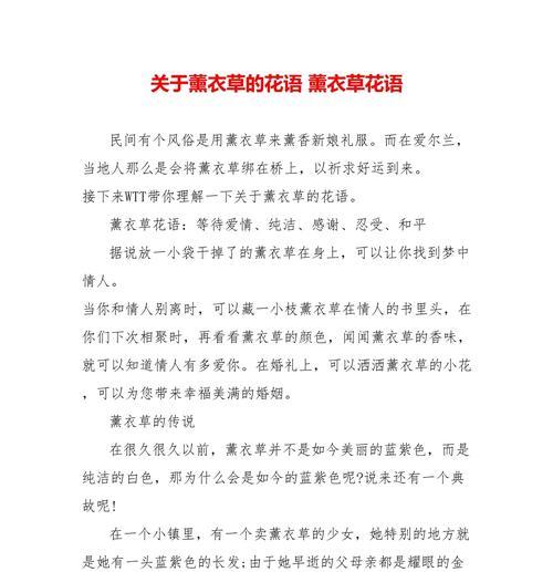 薰衣草花语季节有哪些？如何在不同季节表达爱意？