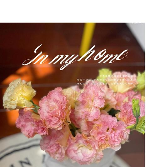 粉色桔梗花的寓意和花语是什么？桔梗花代表什么？