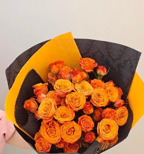橙色芭比玫瑰代表什么？如何挑选寓意特别的橙色玫瑰？
