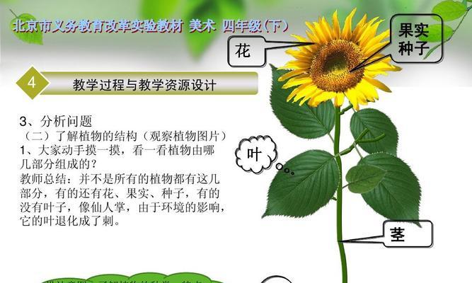 花的颜色对植物的意义是什么？如何通过ppt了解？