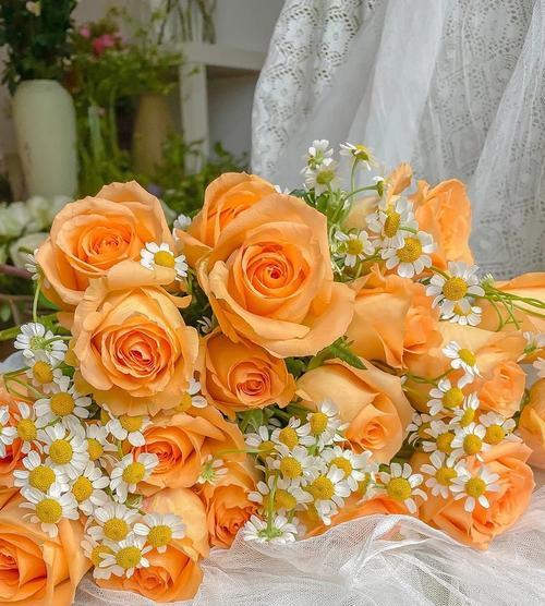 橙色玫瑰花代表什么？橙色玫瑰的花语是什么？