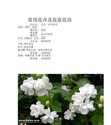 花语大全中哪些寓意祝福？花语大全的寓意是什么？