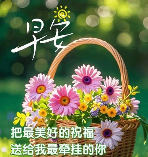 哪种花象征祝你快乐？如何用花表达祝福？