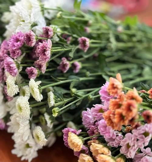 感恩节送什么花最合适？感恩节花卉的寓意是什么？